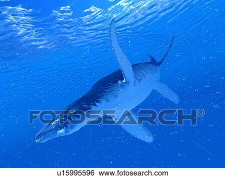 Stock Photograph - Illustration of a Liopleurodon. Fotosearch
