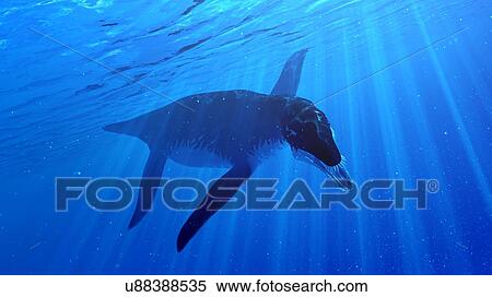 Stock Photography - Illustration of a Liopleurodon. Fotosearch