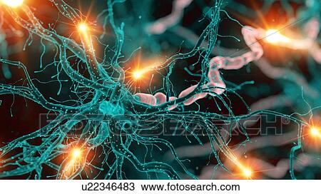 Stock Image - Illustration of a nerve cell. Fotosearch