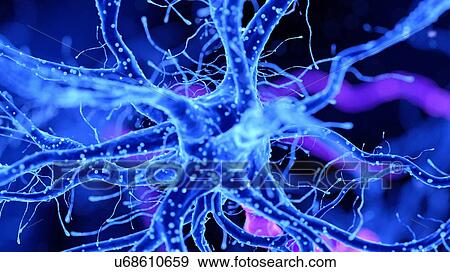 Stock Photo - Illustration of a nerve cell. Fotosearch