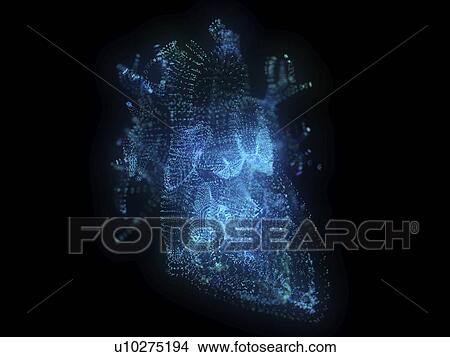 Picture - Illustration of a plexus heart. Fotosearch
