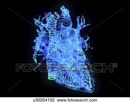 Illustration of a plexus heart View Large Photo Image Stock Image - Illustration of a plexus heart. Fotosearch