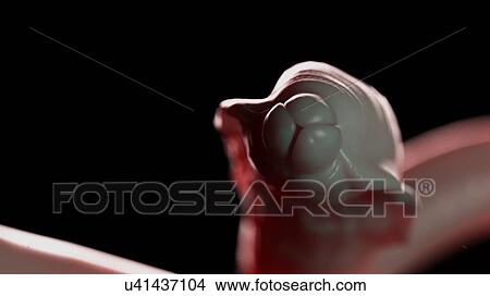 Picture - Illustration of a roundworm. Fotosearch