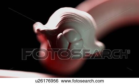 Stock Photograph - Illustration of a roundworm. Fotosearch