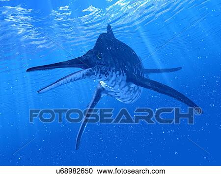 Illustration of a Shonisaurus View Large Photo Image Stock Image - Illustration of a Shonisaurus. Fotosearch