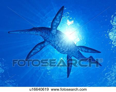 Illustration of a Shonisaurus View Large Photo Image Stock Photo - Illustration of a Shonisaurus. Fotosearch