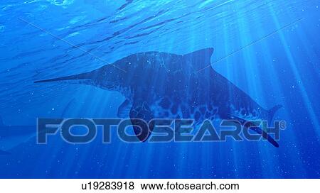 Illustration of a Shonisaurus View Large Photo Image Stock Photo - Illustration of a Shonisaurus. Fotosearch