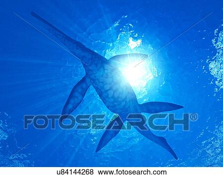 Illustration of a Shonisaurus View Large Photo Image Stock Photo - Illustration of a Shonisaurus. Fotosearch
