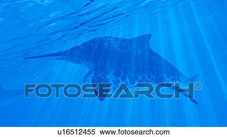 Illustration of a Shonisaurus View Large Photo Image Stock Photography - Illustration of a Shonisaurus. Fotosearch