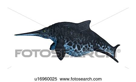 Illustration of a Shonisaurus View Large Photo Image Stock Photography - Illustration of a Shonisaurus. Fotosearch