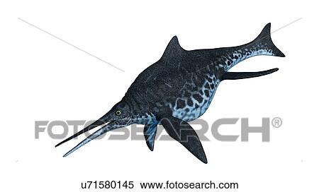 Illustration of a Shonisaurus View Large Photo Image Stock Photography - Illustration of a Shonisaurus. Fotosearch