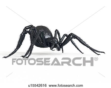 Stock Photograph - Illustration of a spider. Fotosearch