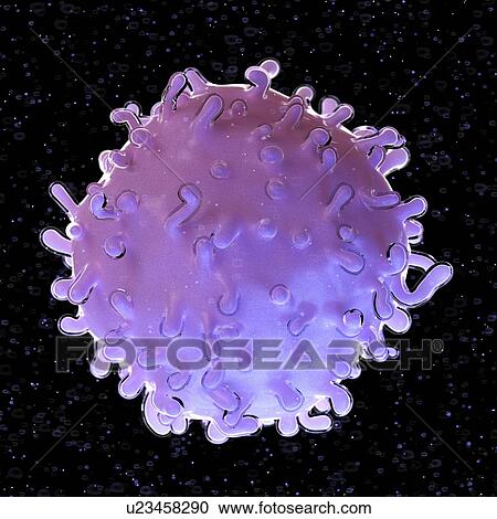 Stock Image - Illustration of a stem cell. Fotosearch