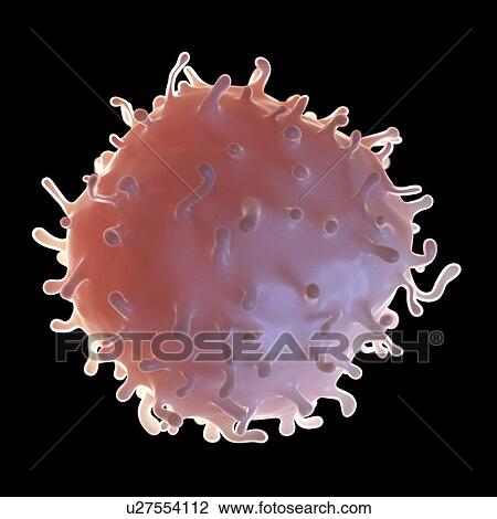 Illustration of a stem cell View Large Photo Image Stock Image - Illustration of a stem cell. Fotosearch