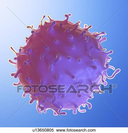 Illustration of a stem cell View Large Photo Image Stock Photography - Illustration of a stem cell. Fotosearch
