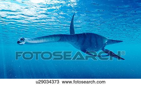 Illustration of a styxosaurus View Large Photo Image Stock Image - Illustration of a styxosaurus. Fotosearch