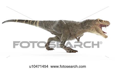 Picture - Illustration of a T-rex. Fotosearch