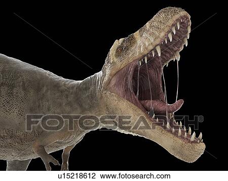 Stock Image - Illustration of a T-rex. Fotosearch