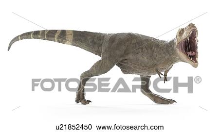 Stock Image - Illustration of a T-rex. Fotosearch