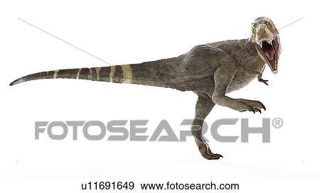 Stock Photo - Illustration of a T-rex. Fotosearch