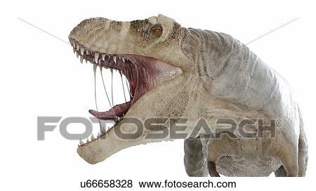 Stock Photo - Illustration of a T-rex. Fotosearch