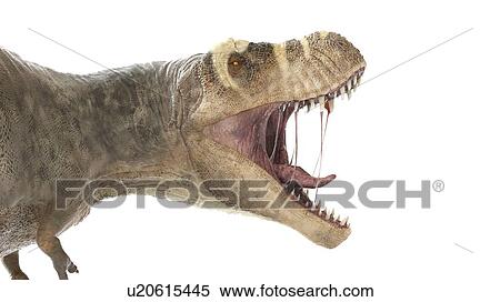 Stock Photography - Illustration of a T-rex. Fotosearch