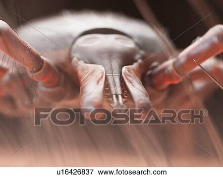 Illustration of a tick crawling on human skin View Large Photo Image Stock Photo - Illustration of a tick crawling on human skin. Fotosearch