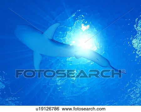 Stock Photograph - Illustration of a tiger shark. Fotosearch