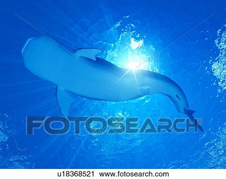 Stock Image - Illustration of a whale shark. Fotosearch