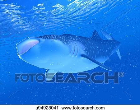 Stock Image - Illustration of a whale shark. Fotosearch