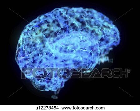 Illustration of an abstract plexus brain View Large Photo Image Picture - Illustration of an abstract plexus brain. Fotosearch