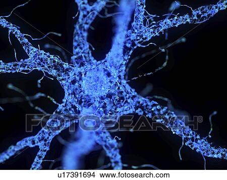 Picture - Illustration of an abstract plexus nerve cell. Fotosearch