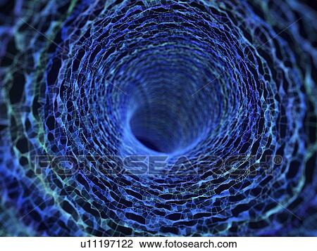 Illustration of an abstract plexus tunnel View Large Photo Image Stock Image - Illustration of an abstract plexus tunnel. Fotosearch