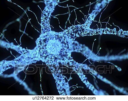 Illustration of an abstract plexus nerve cell View Large Photo Image Stock Image - Illustration of an abstract plexus nerve cell. Fotosearch