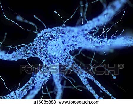 Stock Image - Illustration of an abstract plexus nerve cell. Fotosearch