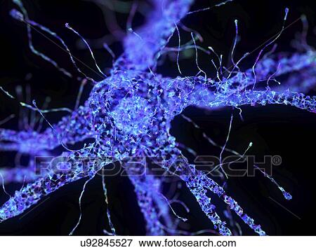 Stock Photo - Illustration of an abstract plexus nerve cell. Fotosearch