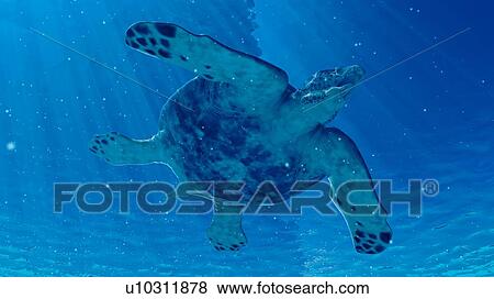 Illustration of an archelon View Large Photo Image Stock Photo - Illustration of an archelon. Fotosearch