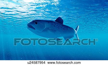 Illustration of an enchodus View Large Photo Image Picture - Illustration of an enchodus. Fotosearch