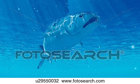 Illustration of an enchodus View Large Photo Image Stock Image - Illustration of an enchodus. Fotosearch
