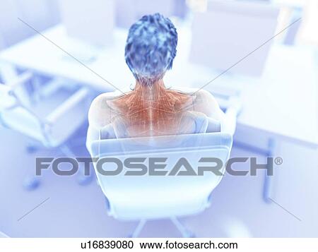 Illustration of an office worker's painful muscles View Large Photo Image Stock Image - Illustration of an office worker's painful muscles. Fotosearch