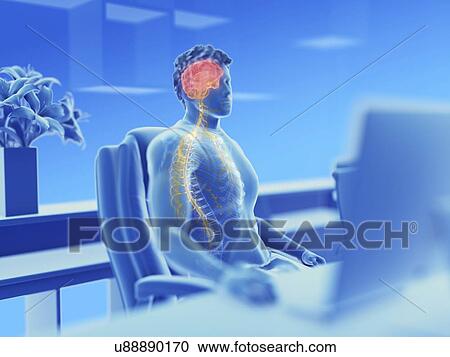 Stock Image - Illustration of an office worker's brain and nerves. Fotosearch