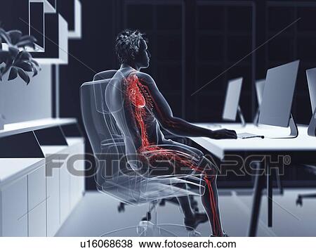 Stock Photo - Illustration of an office worker's vascular system. Fotosearch