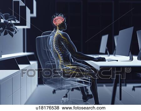 Stock Photo - Illustration of an office worker's brain and nerves. Fotosearch