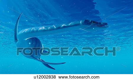 Stock Photo - Illustration of an styxosaurus. Fotosearch