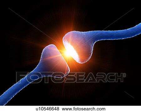 Stock Photo - Illustration of human receptors. Fotosearch