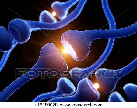 Stock Photo - Illustration of human receptors. Fotosearch