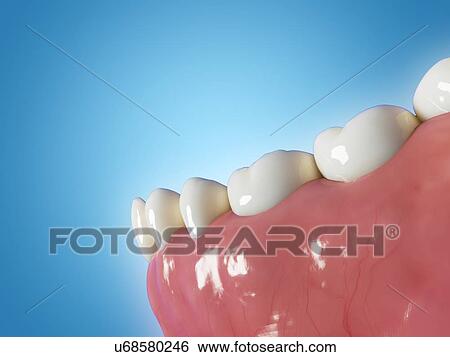 Stock Photograph - Illustration of human teeth. Fotosearch