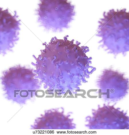 Illustration of stem cells View Large Photo Image Stock Photograph - Illustration of stem cells. Fotosearch