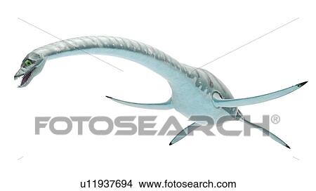 Picture - Illustration of styxosaurus. Fotosearch