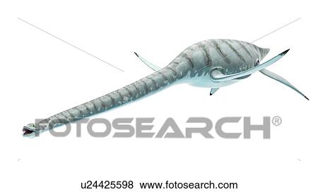 Stock Photo - Illustration of styxosaurus. Fotosearch